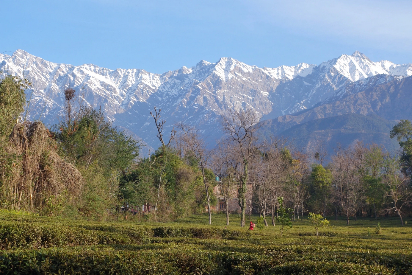 5 Activities For Every Type Of Traveller When You Visit The Hill Station Of Naukuchiatal